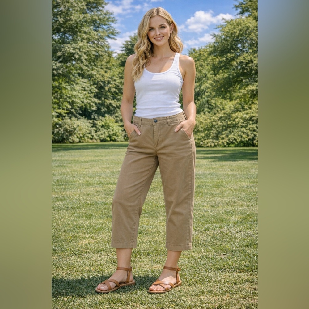 NWT Ella Moss Wide Leg Cropped Pants Tan High Rise Chic Minimalist